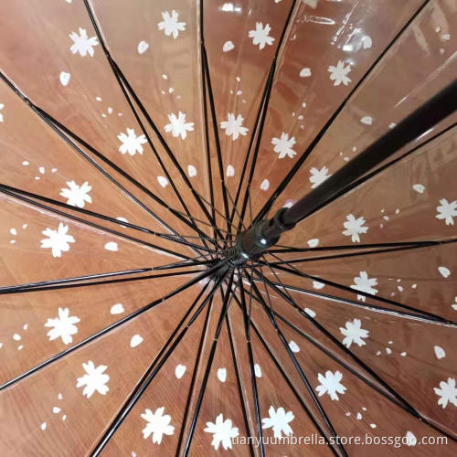 Long Handle Umbrella In Transparent POE Fabric
